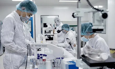 Đầu tư Y tế - Dược phẩm Việt Nam (JVC) thành lập công ty con có vốn điều lệ 250 tỷ đồng