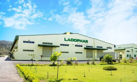 Dược Lâm Đồng (LDP) lên phương án dùng quỹ và thặng dư vốn xóa lỗ lũy kế, muốn huy động gần 94 tỷ đồng từ cổ đông