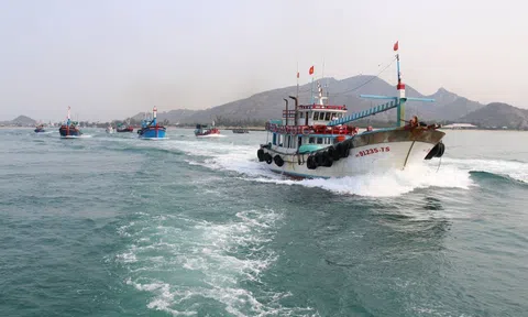 Kiểm soát tàu cá và thông tin ngư dân trên ứng dụng VNeID