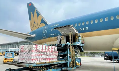 Vietnam Airlines vận chuyển miễn phí hàng hóa hỗ trợ đồng bào vùng lũ miền Trung