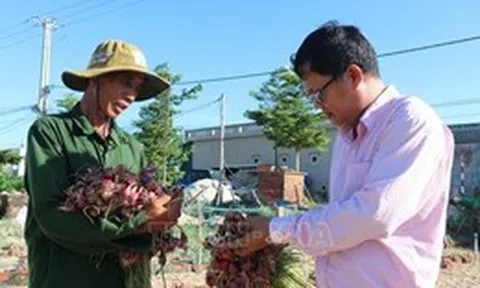 Vốn chính sách giúp người dân đảo tiền tiêu Lý Sơn thoát nghèo