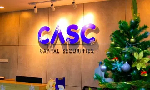 Chứng khoán Thủ đô (CASC) bị phạt 175 triệu đồng vì báo cáo sai lệch tỷ lệ vốn khả dụng