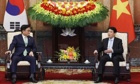 Chủ tịch nước Lương Cường: Việt Nam - Hàn Quốc thực sự trở thành đối tác quan trọng hàng đầu của nhau