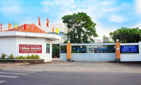 Colusa – Miliket (CMN): Vinataba đưa 20% vốn ra đấu giá với mức khởi điểm cao hơn 85% thị giá