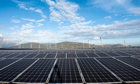 Điện Mặt trời Trung Nam chi 30 tỷ đồng mua lại trái phiếu trước hạn, giảm áp lực nợ vay