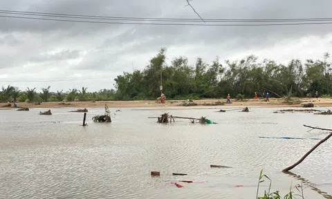 Nhiều khu vực ở Đắk Lắk chưa thể đóng điện trở lại
