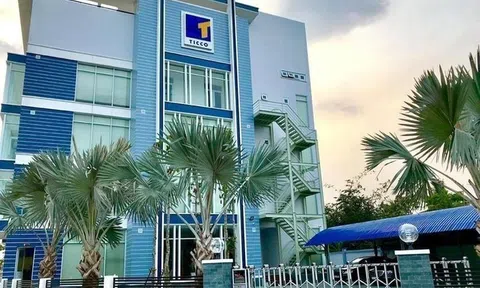 Ticco (THG) chốt quyền tạm ứng cổ tức tiền mặt đợt 1/2025, lợi nhuận 9 tháng tăng trưởng 36%