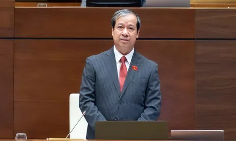 Nghiên cứu, xem xét kỹ lưỡng đối với mô hình đại học vùng