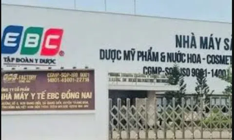 Đồng Nai công bố hơn 2.000 doanh nghiệp nợ bảo hiểm: Công ty liên quan vụ án hàng giả của chồng Đoàn Di Băng bị 'bêu tên'