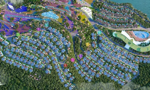 Hòa Bình Takara (CTP): Bị truy thu và phạt thuế hơn 450 triệu đồng, dàn lãnh đạo cấp cao dồn dập thoái vốn