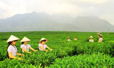 Sắp diễn ra Ngày hội sản phẩm vùng đồng bào dân tộc thiểu số và miền núi phía bắc