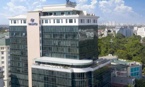 Vinafor (VIF) thu 58 tỷ đồng từ việc thoái vốn tại doanh nghiệp âm vốn chủ sở hữu, hé lộ quỹ đất đắc địa