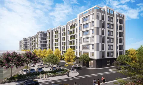 Vĩnh Long tìm nhà đầu tư 3 dự án nhà ở xã hội gần 1.200 căn