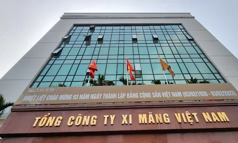 Vicem dồn dập thoái vốn hàng trăm tỷ đồng tại loạt đơn vị thành viên