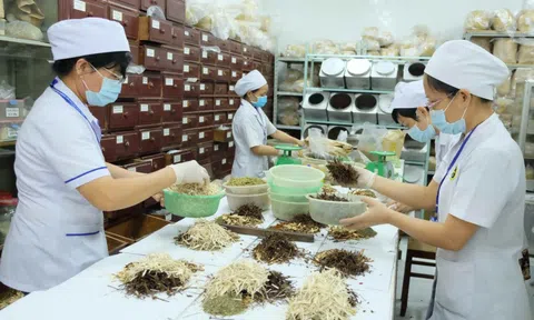 Đề xuất hướng dẫn hoạt động của y học cổ truyền trong cơ sở khám, chữa bệnh