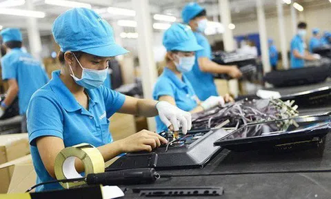 Tham vấn ý kiến về hỗ trợ pháp lý liên ngành cho doanh nghiệp nhỏ và vừa