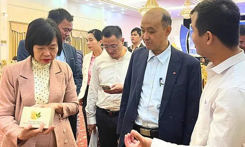 Startup Đà Nẵng đông, nhưng mạnh thì chưa nhiều