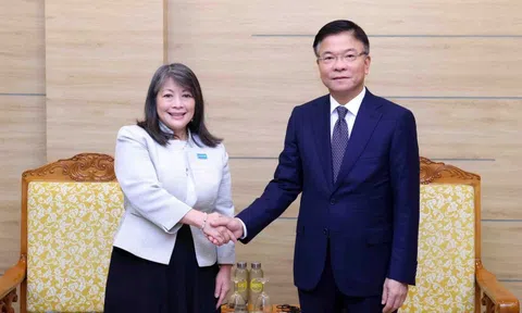 Phó Thủ tướng Lê Thành Long tiếp Giám đốc UNICEF khu vực Đông Á – Thái Bình Dương