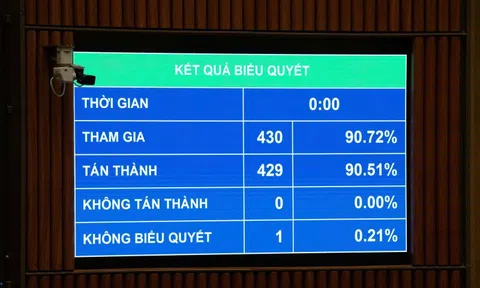 Quốc hội thông qua Luật Tương trợ tư pháp về dân sự, cho phép lấy lời khai trực tuyến