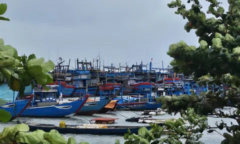 Các địa phương miền Trung chủ động ứng phó bão số 15