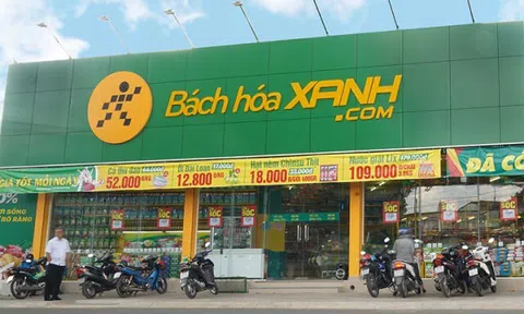 Bách Hóa Xanh dồn lực 'Bắc tiến' và bài toán IPO: Lợi nhuận khởi sắc nhưng gánh nặng lỗ lũy kế vẫn còn