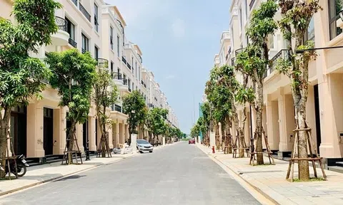Dream City Villas bị xử phạt: Huy động 9.500 tỷ đồng trái phiếu 'quên' báo cáo, lộ diện khoản lỗ 185 tỷ đồng