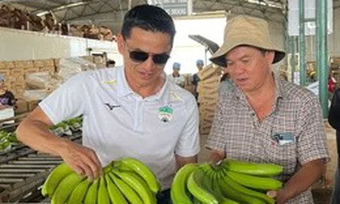 Ván bài mới của bầu Đức