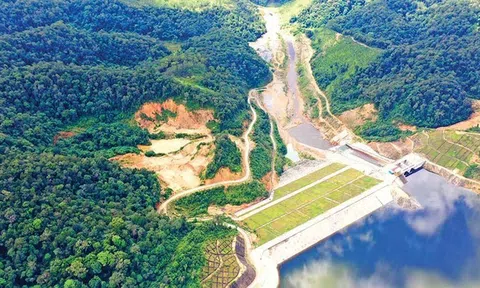 Quỹ đầu tư Đỏ không còn là cổ đông lớn tại Thủy điện Vĩnh Sơn - Sông Hinh (VSH)