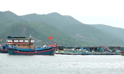 Khánh Hòa cấm biển từ 7h ngày 28/11 cho đến khi có thông báo mới