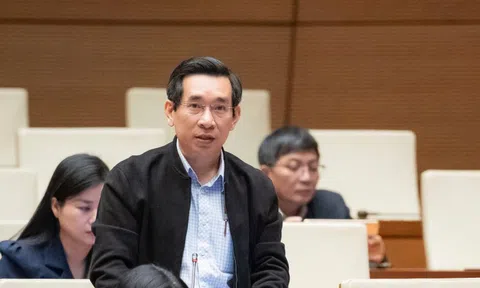 ĐBQH nêu lý do cần đưa chỉ số hạnh phúc vào Quy hoạch tổng thể quốc gia