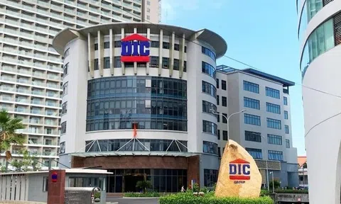 DIC Corp (DIG): Kế toán trưởng muốn thoái sạch vốn, gia đình Chủ tịch bỏ hơn nửa quyền mua cổ phiếu