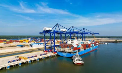 Cảng Phước An (PAP): Duyệt dự án gần 5.000 tỷ đồng và chào bán cổ phiếu 'giá sàn' khi lỗ lũy kế vượt 400 tỷ