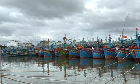 Gia Lai, Khánh Hòa: Khẩn trương triển khai các biện pháp cấp bách ứng phó bão số 15