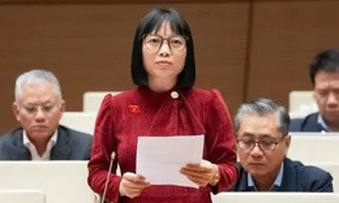 ĐBQH: Nhiều dự án số hóa đầu tư lớn nhưng hiệu quả thấp