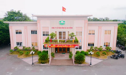 Sông Đà Cao Cường (SCL) bán thành công 97,5% lượng cổ phiếu chào bán, lãnh đạo gom nốt hàng dư để trả nợ BIDV