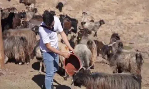 Nghề "hot" đi làm như đi chơi, lương trăm triệu/tháng vẫn thiếu người làm