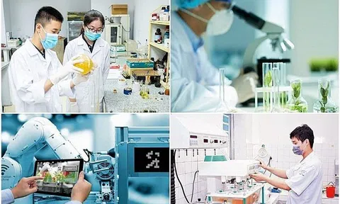 Tạo hành lang pháp lý thúc đẩy khoa học, đổi mới sáng tạo trong cơ sở giáo dục đại học