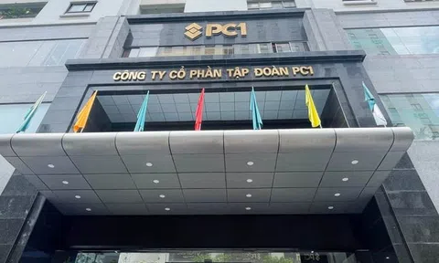 Con gái Chủ tịch PC1 chi gần 90 tỷ đồng gom cổ phiếu, nhóm cổ đông gia đình nắm quyền chi phối hơn 24% vốn