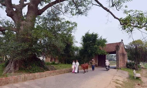 Làng Việt - Nơi lịch sử thở bằng đất