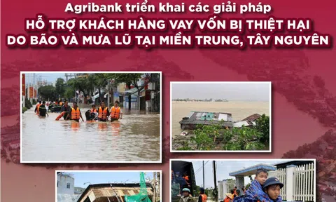 Agribank giảm 2% lãi vay hỗ trợ khách hàng bị thiệt hại do bão số 12, 13 và mưa lũ