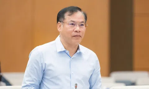 Trưởng Công an xã có quyền kiểm tra về môi trường, an toàn thực phẩm