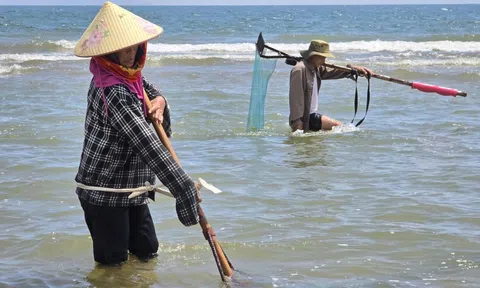 Ngư dân Hà Tĩnh cần mẫn “đi giật lùi” mưu sinh nơi cửa biển