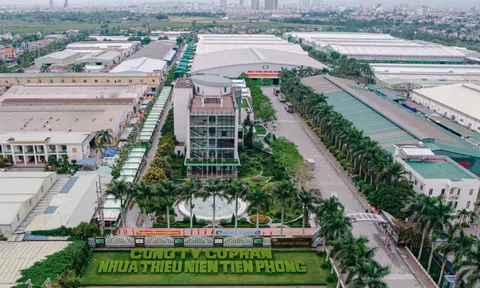 Vướng sai phạm, Nhựa Tiền Phong (NTP) bị phạt và truy thu thuế hơn 10,2 tỷ đồng