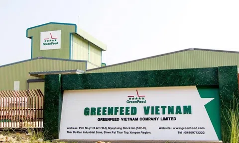 Chủ chuỗi G Kitchen GreenFeed Việt Nam: Lãi bán niên gấp 2,5 lần cùng kỳ, tổng nợ phải trả tăng hơn nghìn tỷ