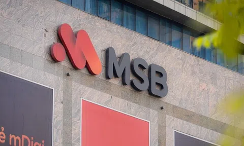 VNPT đưa gần 190 triệu cổ phiếu MSB lên sàn đấu giá với mức định giá cao gấp rưỡi thị trường