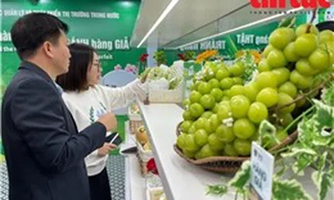 Khai mạc Phòng trưng bày nhân Ngày Phòng chống hàng giả, hàng nhái 