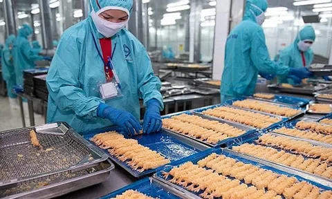 Doanh thu của Thực phẩm Sao Ta (FMC) giảm mạnh trong tháng 11/2025