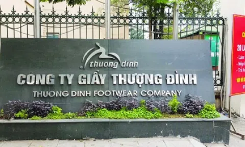 Giầy Thượng Đình nói gì khi cổ phiếu GTD tăng trần 11 phiên liên tiếp?