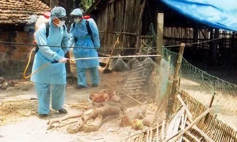 Siết chặt biện pháp phòng dịch, không để mầm bệnh lây lan, bùng phát