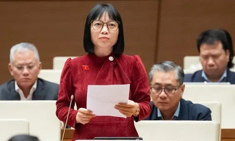 Từ phát biểu của đại biểu quốc hội Nguyễn Thị Việt Nga